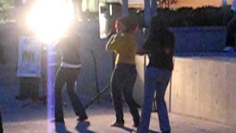 Delta Tau Lambda  STROLLING at USF