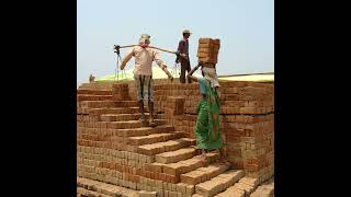 Whos Making Money From Forced Labour?