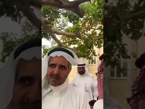 شجره الرقاع اكبر شجره معمره في السعوديه تنومه Youtube