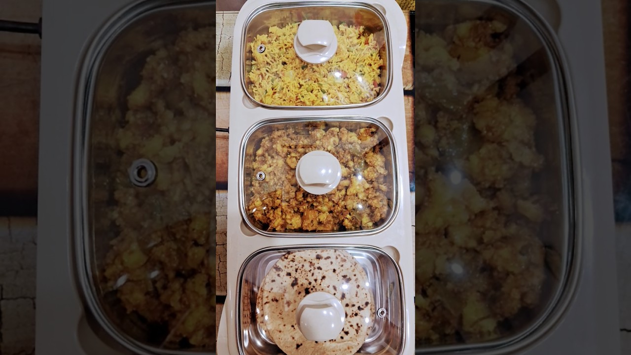 Electric chafing e-warmer 3 bowl 1000ml dish