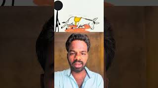 The Golden Saddle..❤️‍🩹.! #youtubeshorts #lenindiaries #tamilshorts #youtube #tamil #relatable