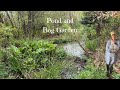 Bealtaine cottage  pond and bog garden