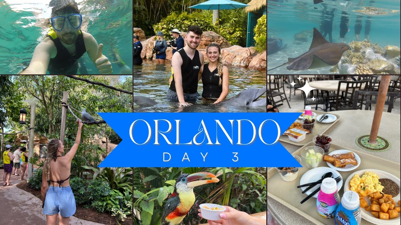 Discovery Cove Orlando | Плавание с дельфинами, вольер и Taco Bell | Орландо, Флорида, день 3