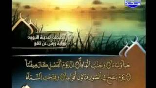 العيون الكوشي - سورة النبأ