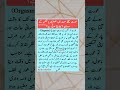 urdu quotes #shorts #trending