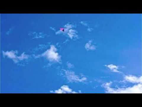 カイト　kite (10hole harmonica)  嵐✖️米津玄師　ブルースハープ