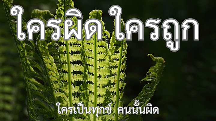 ใครผิด ใครถูก