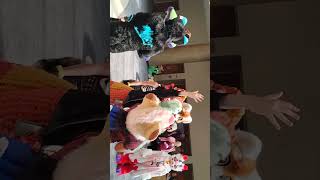 Furries and the balloon TTFC 2023