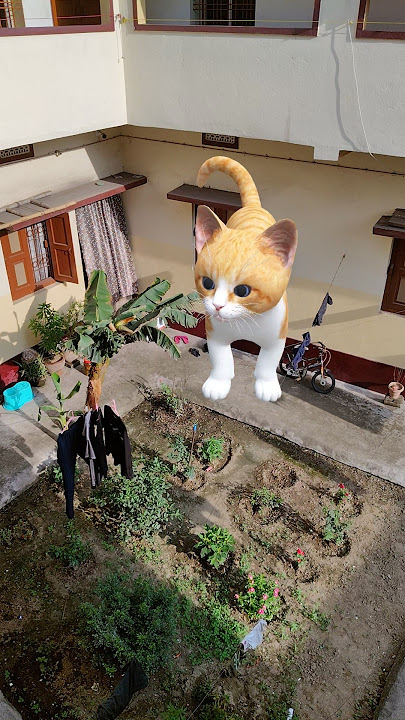 #cute #cat #shorts #song #youtubeshorts