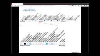 WormBase Webinar #8: Gene Function Graphs and Gene Set Enrichment Analysis