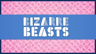 Bizarre Beasts
Welcome to Bizarre Beasts!
Once a month, hosts Hank Green and Sarah Suta introduce you to a strange new animal and explore its fascinating weirdness. And if you want these creatures for yourself, there’s the Bizarre Beasts pin club!
New episodes go up the first Monday of every month. When you are in the pin club, you’ll get the pin for each episode around the time the episodes goes live! If you want to become a new member of the pin club, subscriptions are open! New subscribers will receive their first pin in the middle of the month, and then keep getting pins whenever a new video goes up!
Subscribe to the pin club here: https://complexly.store/products/bizarre-beasts-pin-subscription
You can cancel any time by emailing hello@dftba.com
Follow us on socials:
Instagram: https://www.instagram.com/bizarrebeastsshow/
Facebook: https://www.facebook.com/BizarreBeastsShow/
BlueSky: https://bsky.app/profile/bizarrebeastsshow.bsky.social
#BizarreBeasts #Animals #EnamelPins
Images:
https://www.videoblocks.com/
https://www.istockphoto.com/
https://youtu.be/oHPBLycX6ko
https://youtu.be/Sa6P4lesGPc
https://youtu.be/FE9Zgug6K8I Bizarre Beasts