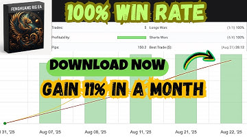 Fenghuang Rig EA v1.3 – Phoenix-Inspired Forex Robot for MT4 | Trend + Breakout Strategy