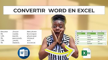 ASTUCE: Convertir Word en Excel || importer un document Word dans Excel
