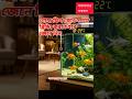 গোল্ডফিশ ব্রিডিং মৌসুম 🐠 Goldfish Breeding Season &amp; Temperature | Aquarium Tips#shortvideo #shorts
