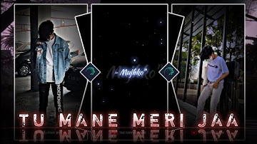 "TU MANE MERI JAA new viral video edit alight xml" by THE PAPPU EDITOR