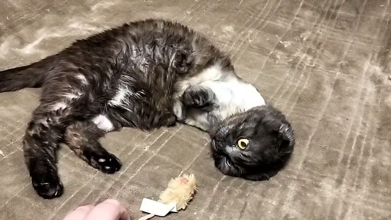 25 февраля 2026 г.