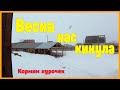 Сильная метель / Весна нас кинула / Кормим курочек / НОВЫЕ ДЕРЕВЕНСКИЕ