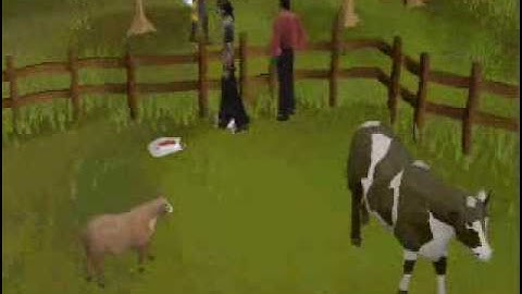 runescape randomness part 1