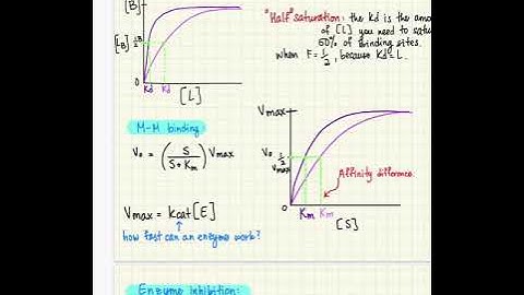 ligand binding, M-M kinetics, chymotrypsin, allostery, Hill coef, Lineweaver-Burk, chorismate mutase