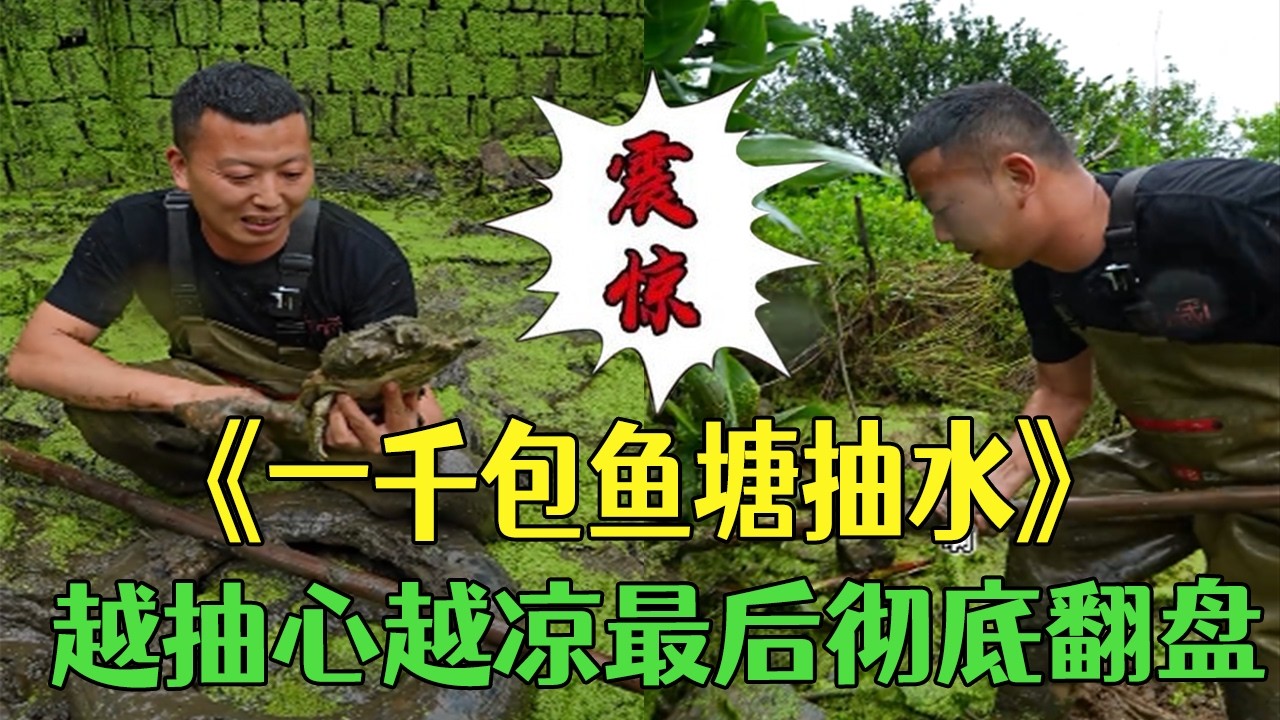 1000 元包魚塘抽水，越抽心越涼，最後壹幕徹底翻盤！ #小飛哥#三農 #護外 #新農人計劃2026  #鄉村守護人
