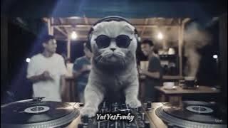 DJ GARAM CINA PET POLIPET PIPET ANGKA 7 SLOWED RVB BY DJ TEBANG VIRAL TIKTOK TERBARU 2025