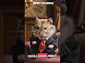hámster tiene discusión con su abuela #humormexicano #hamsters #memes #comedy