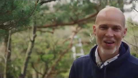 Pruning Theory with Greg Afman at Anderson Japanese Gardens
