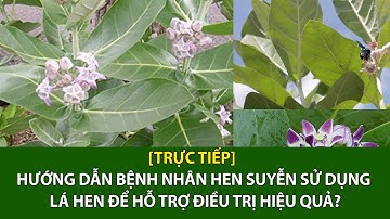 [Trực tiếp] Hướng dẫn bệnh nhân hen suyễn sử dụng lá hen để hỗ trợ điều trị hiệu quả? | VTC16