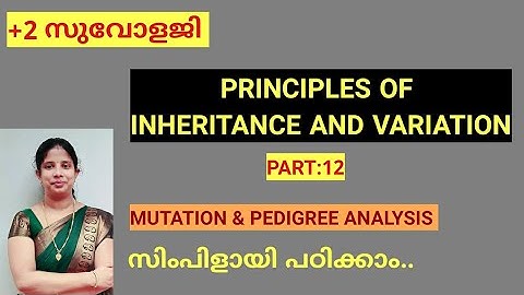 Principles of inheritance and variation(part-12)class +2 in malayalam|Mutation and pedigree analysis