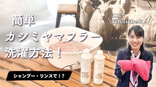 カシミヤマフラーはシャンプーで洗う！家で洗える簡単ケア方法を紹介