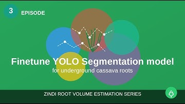 Finetune your own YOLO Segmentation model