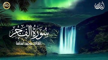 سورة الفجر | القارئ محمد أسامة ♥️