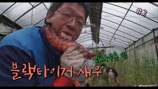 SUB) Black Tiger Shrimps Mukbang (Ft. Bamboo tree), korean food