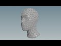 Houdini adaptive Triangle face to hexagonal face