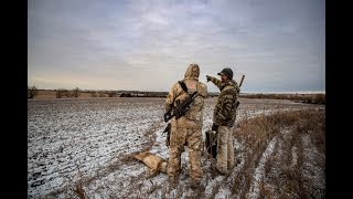 Tricky Kansas Coyotes | S1:E7