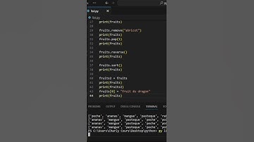 Copier une liste en Python ? Attention au piège ! ⚠️🐍 #dev #coding #programming