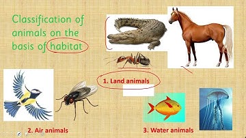 Science Grade 5 Unit 1 Lecture 1 || SNC 2020 ||