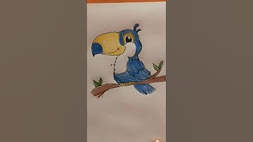 how to draw a toucan || easy toucan bird drawing #shortsfeed #shortvideo #shortsviral