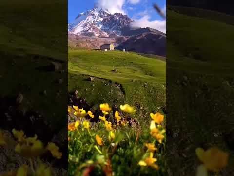 Video: Ziedi kalnu slidkalniņam: atlases funkcijas