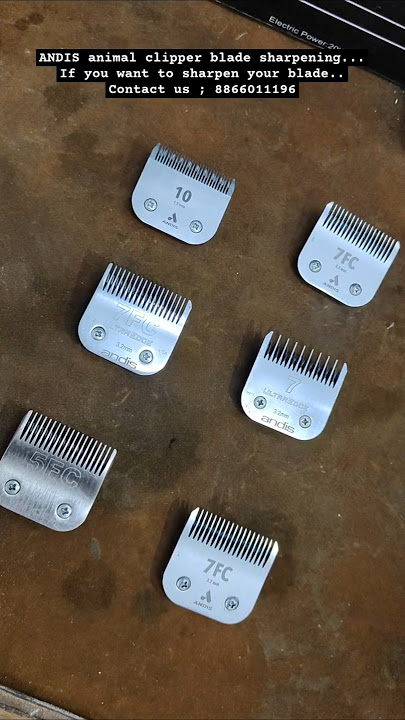 ANDIS animal clipper blade sharpening #animalcare #andis #animals #clipper