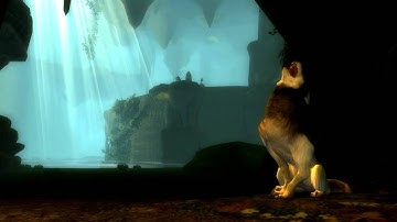 Menace of the Underdark: Druid Transformation