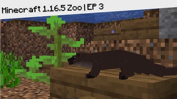 Minecraft Zoo Let
