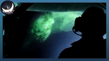 Quái Vật Dưới Làn Nước Sâu (Full): Những Loài Thủy Quái Tưởng Chừng Đã Tuyệt Chủng Hàng Triệu Năm