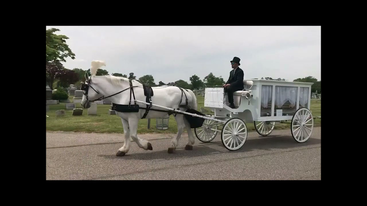 White Funeral Carriage Antioch Baptist Church Greenfield Cemetery