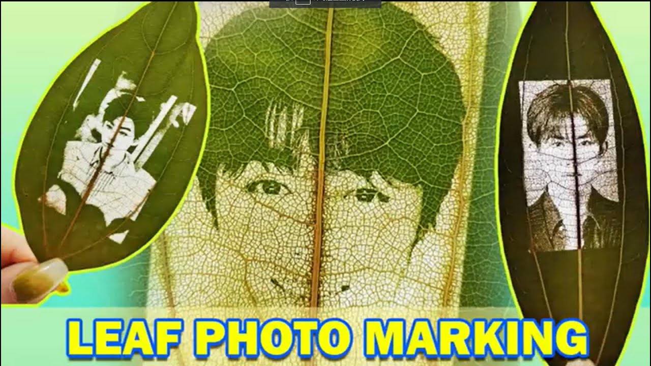 UV Leaf Marking YouTube