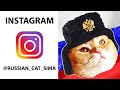 Russian Cat Sima: &quot;Speak MEOW Russian!&quot;