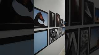 Visit The Urban Reimagining Photography Exhibition At Cfc Mall