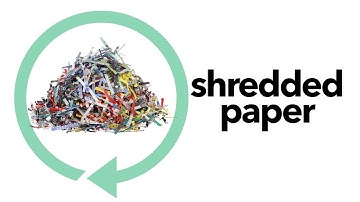 What Items Go Where! Shredded Paper