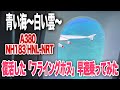 【A380復活】ANAのフライングホヌ ホノルルから成田まで乗ってみた|乗りものチャンネル