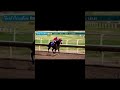 8th Race January 24, 2026. Turf Paradise